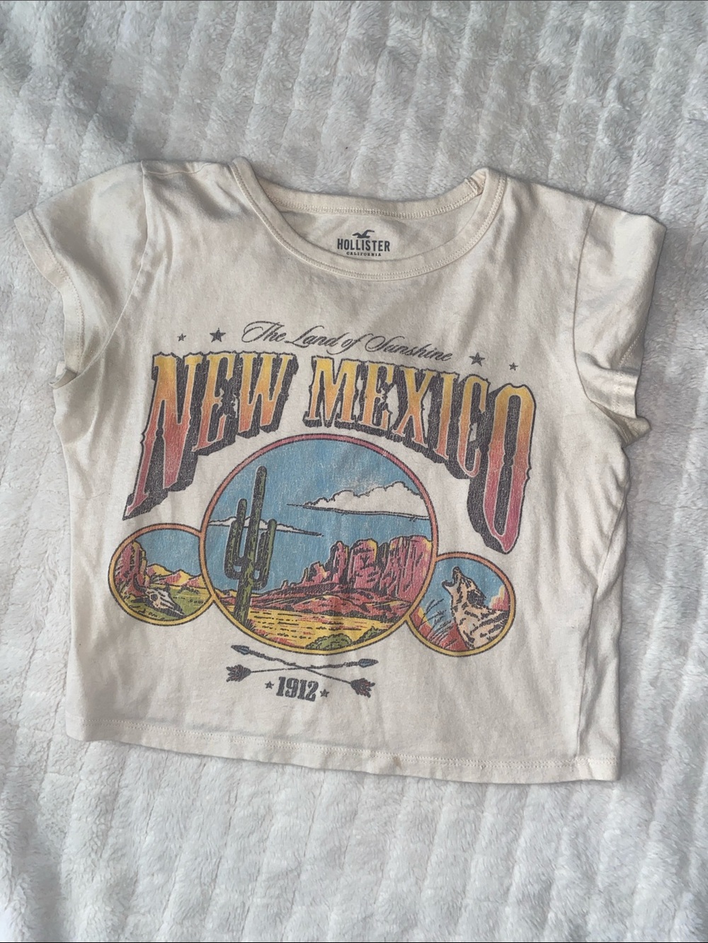 Hollister Off-White New Mexico Graphic Tee with Desert Colors